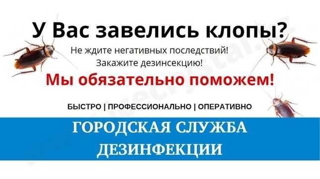 Клопы?Тараканы?Блохи? прочие паразиты?Звоните!Гарантия!Опыт!Результат!