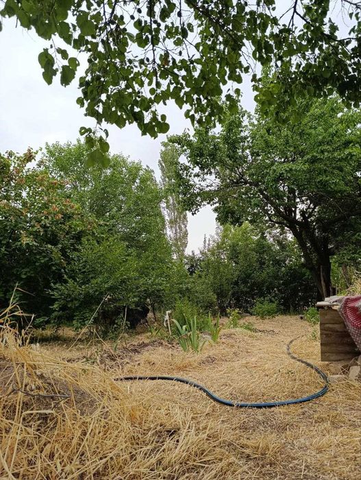 Продаю свою дачу, 6 соток, Паркентск р-н, Навбахор