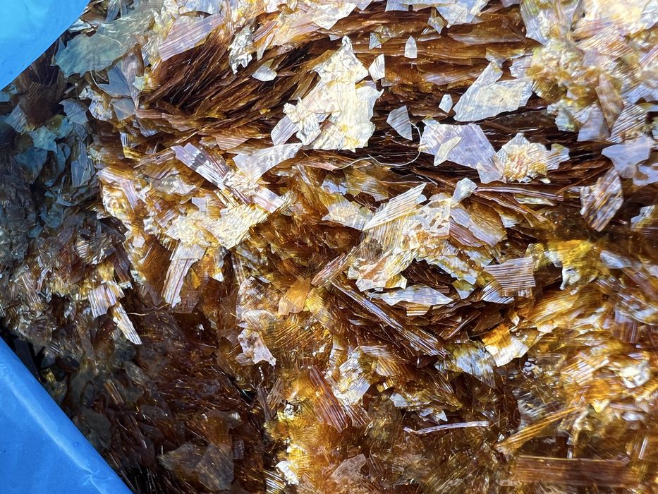 Serlac/shellac fulgi