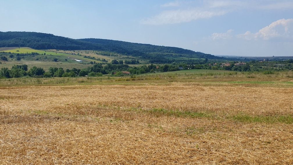 De vânzare teren arabil 2.58 ha. în comuna Bogda județul Timiș !!!
