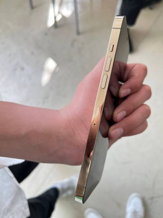 iPhone 12 pro max