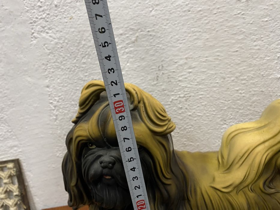 Немско порцеланово куче порода ли тцу