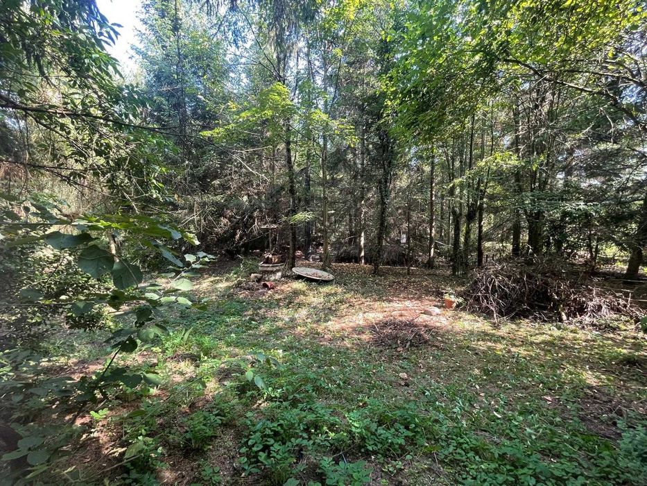 De vânzare casă cu teren intravilan – Roșia Nouă, jud. Arad