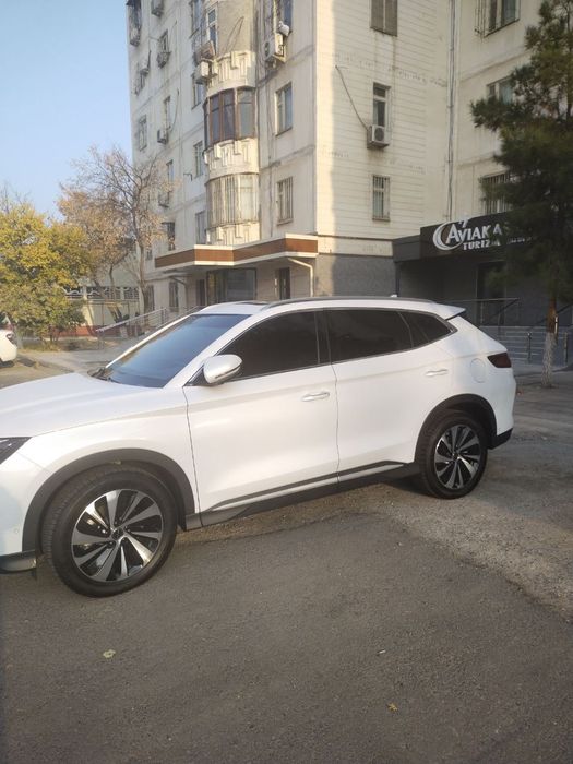 Byd song plus champion 2024