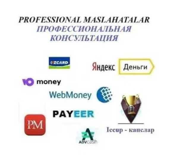 Профессионал маслахатлар Webmoney, консультация по Вебмани