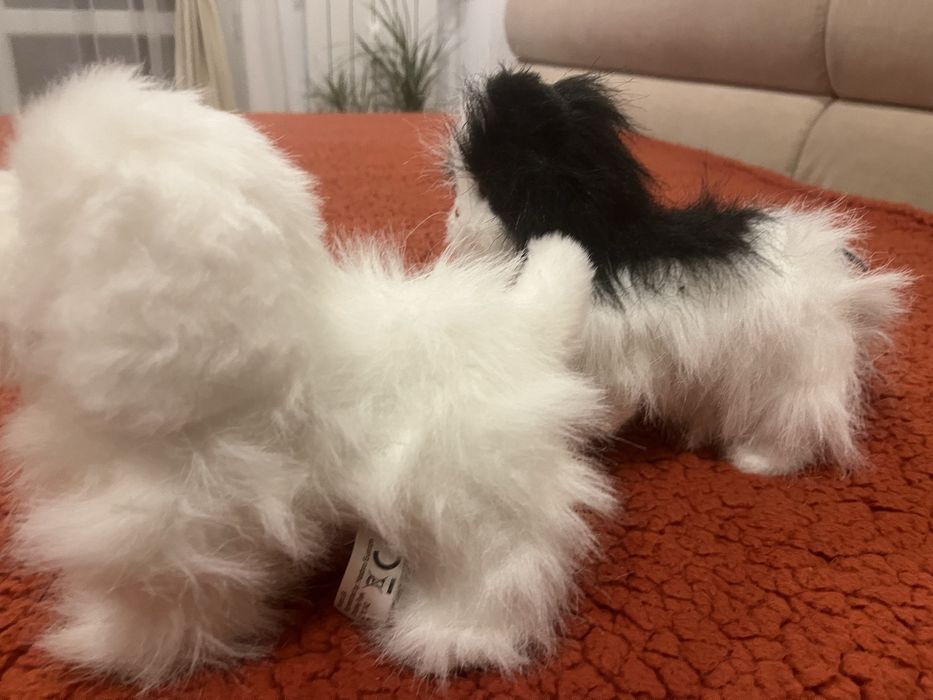 Интерактивно коте и куче