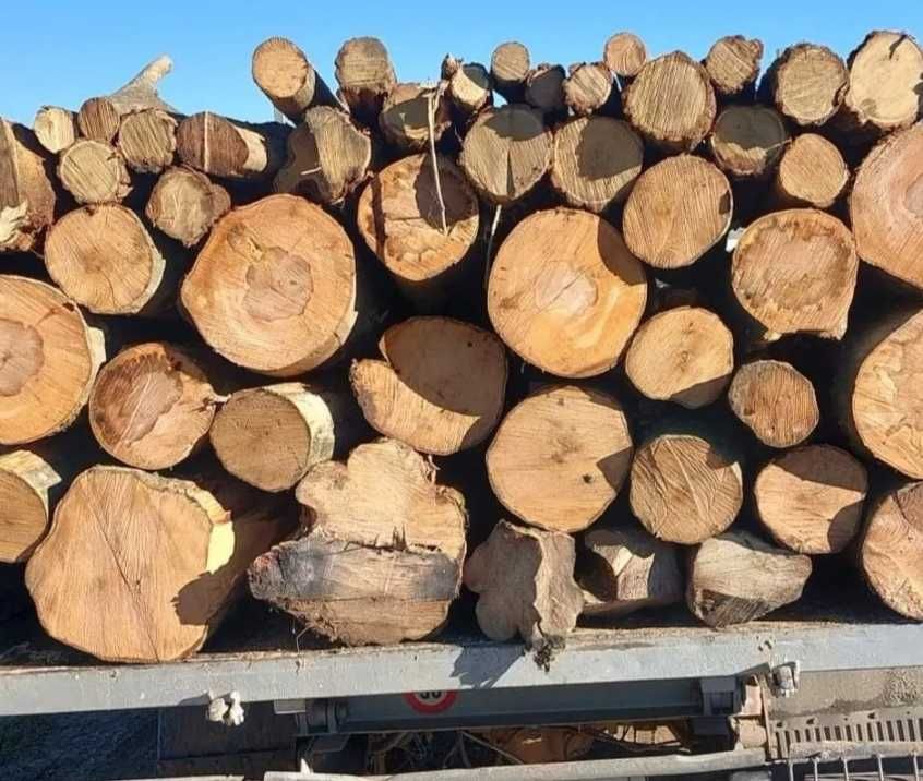 Vind lemne FAG ȘI CARPEN