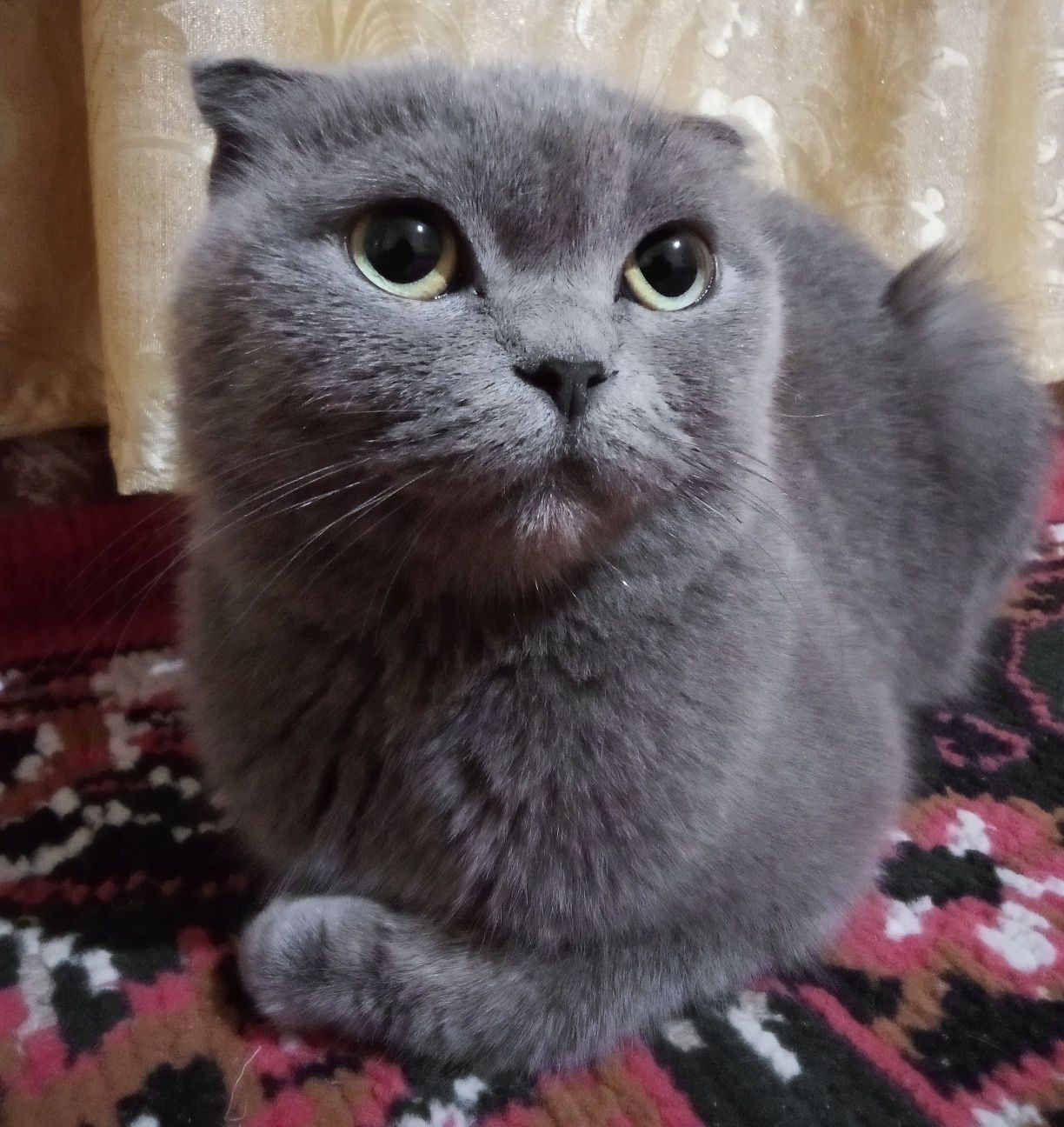 Monza avlodidan aqlli ozoda 1 yarim yosh