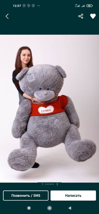 Teddy Teddi teddy, Xitoy original (30sm 3metrgacha)