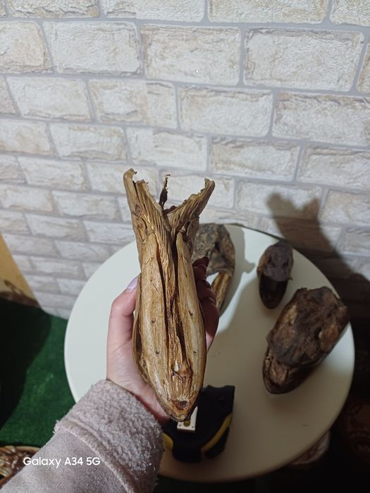 Препарирани за битов кът механа