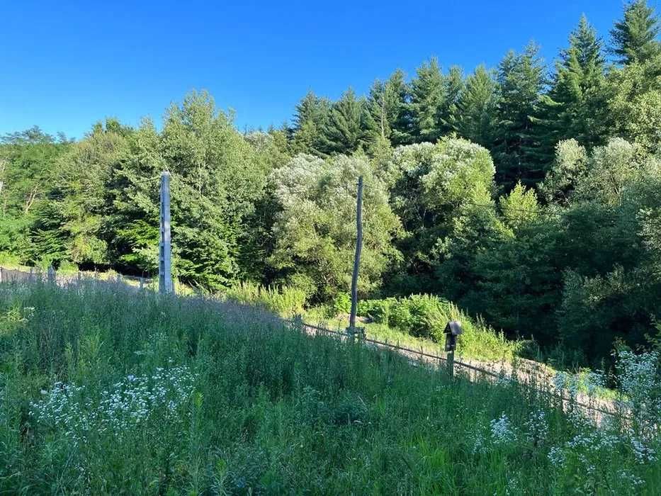 Teren 2.213 mp, Curtea de Argeș, utilități, 25 m deschidere