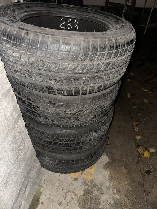 Zimni Balon 225 55 R16