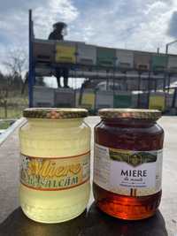 Vând miere de albină BIO de mană și de salcâm