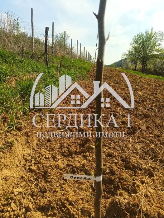 Продава се Парцел в с. Згурово, Област Кюстендил - 3799 кв.м за 12 €/кв.м - Снимка #1