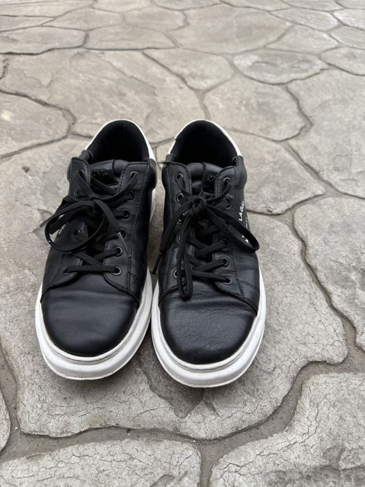 Karl Lagerfeld utilizati