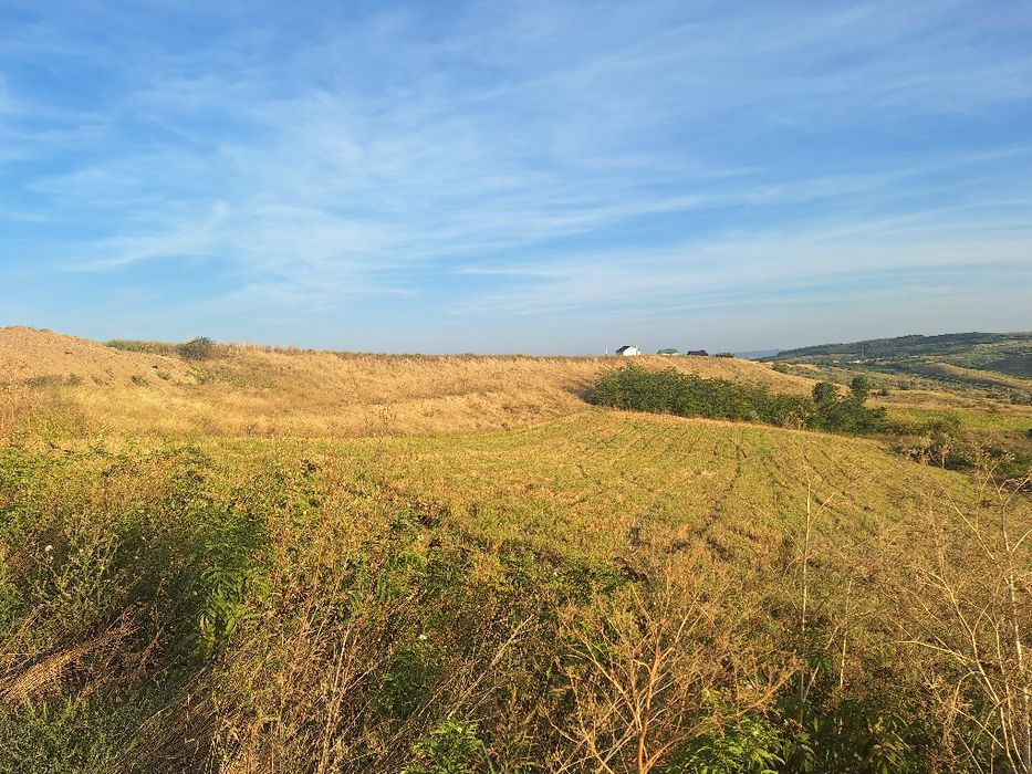 Teren extravilan Breazu-Tautesti