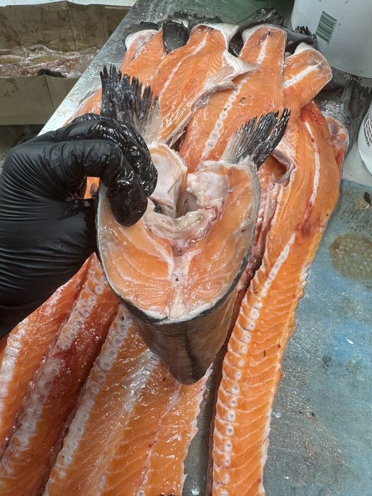 Головы Семги РЫБА супнабор