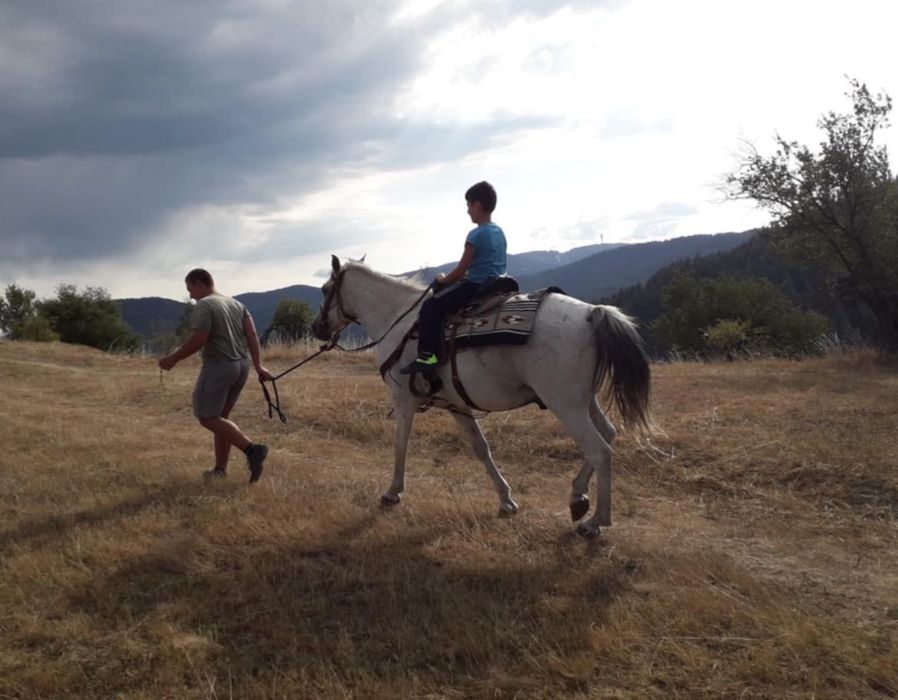 Продавам бял мъжки кон