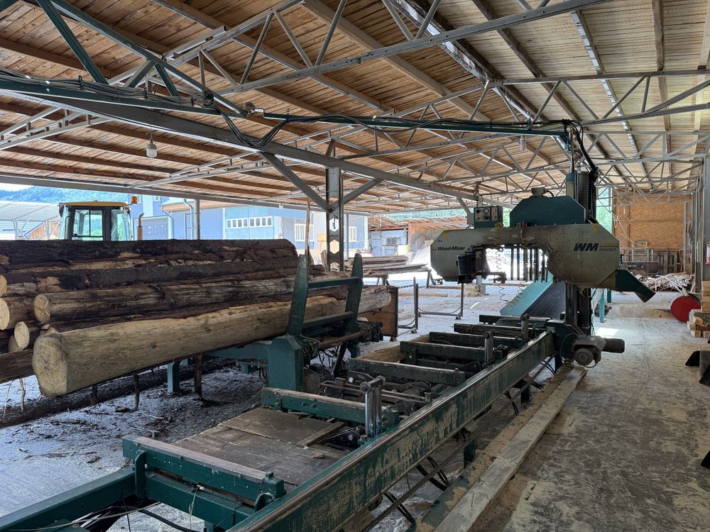 Gater - Fierastrau Panglica Wood Mizer WM3500