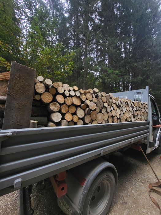 Lemne de foc Fag,esenta tare transport inclus