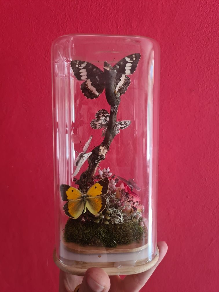 Подарък - сувенир - Стъкленица с пеперуди