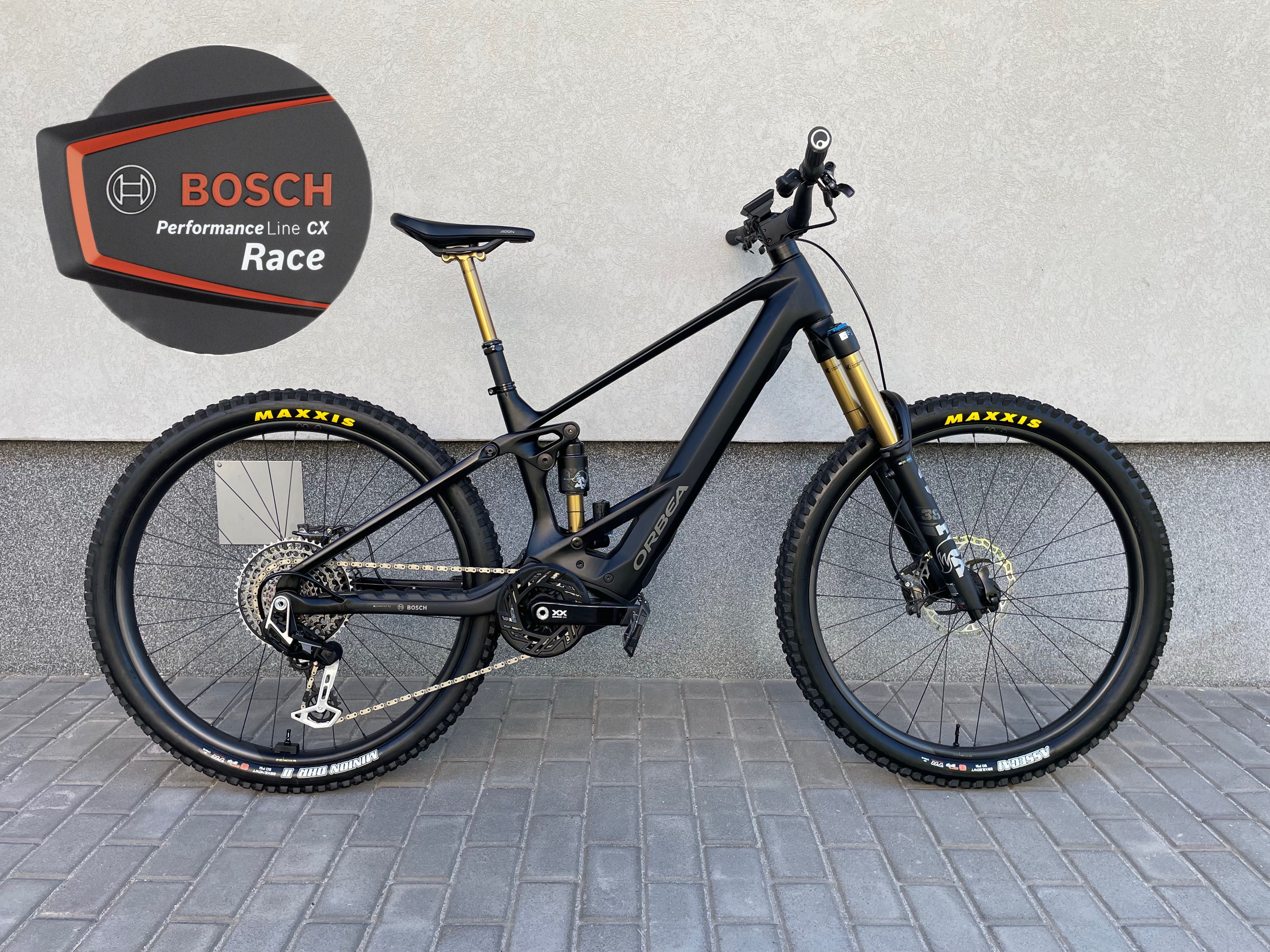 Orbea Wild M-LTD Race motor