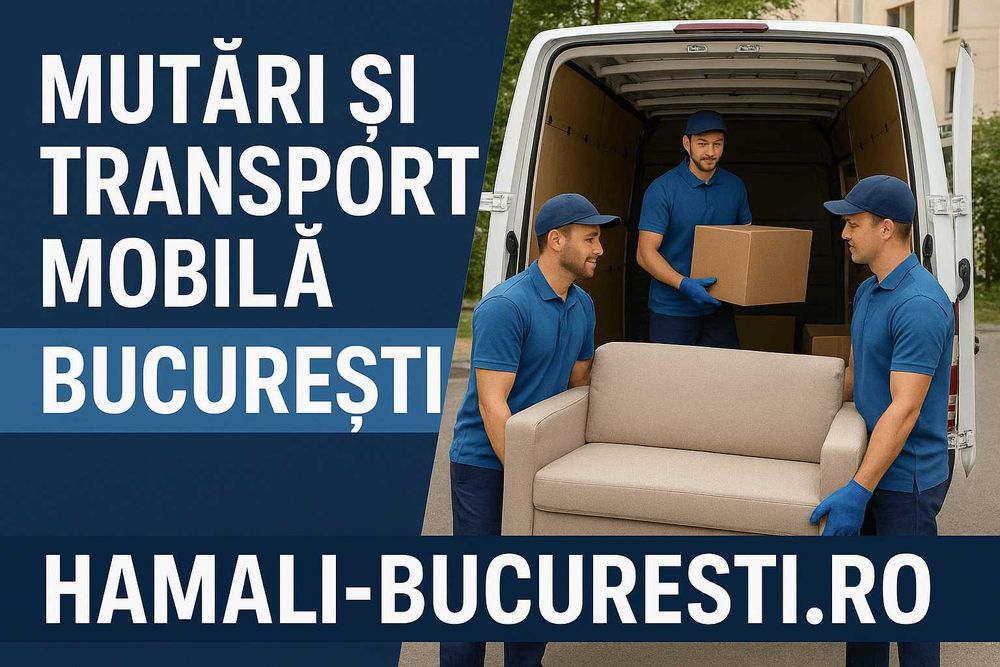 Transport și mutări Sector 4 București – Echipă cu experiență