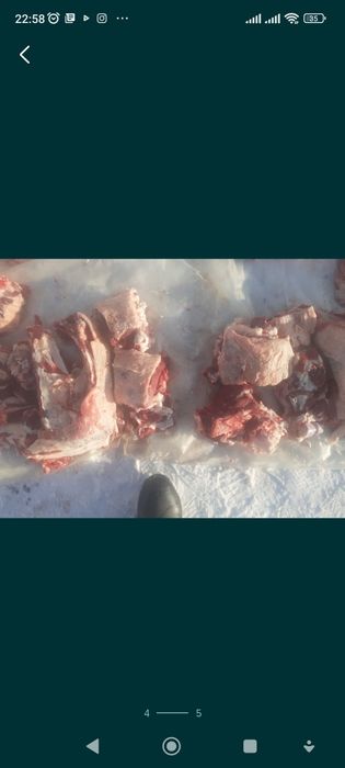 Продам говядину,телочки.