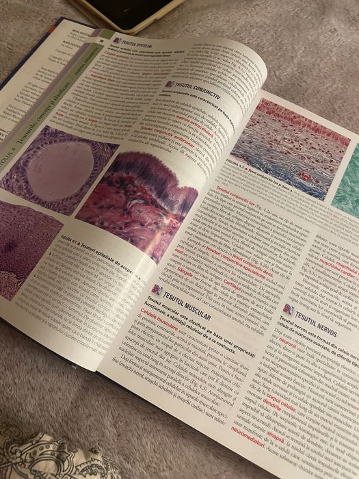 Vand Ross Histologie