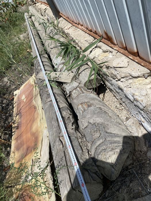 Томар ағаш,кругляк дерево