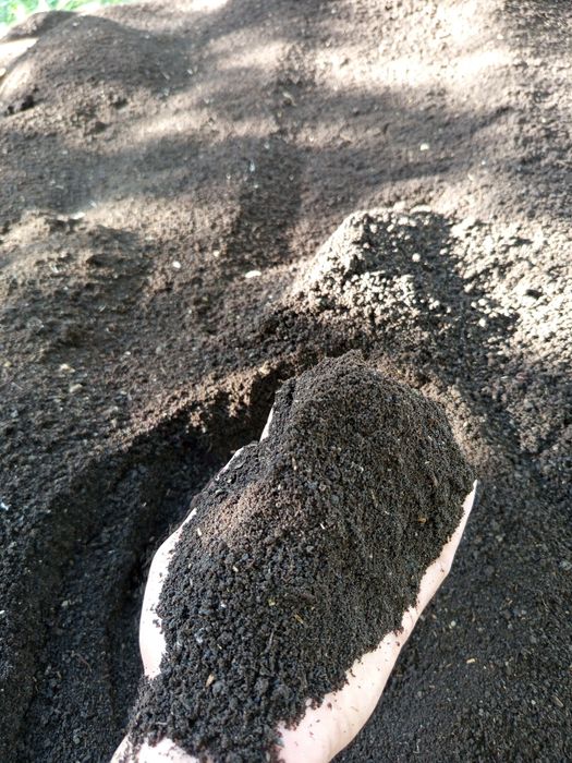 Biyoʻgoʻms bor    Yangiyoʻl 2-kalelin