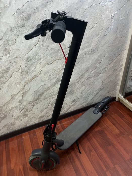 Sotiladi elektroni samakat