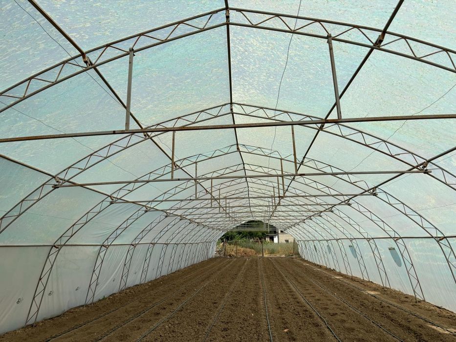 Оранжерии/Парници