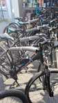 Închiriez biciclete electrice flote curieri Wolt/Bolt/Glovo.