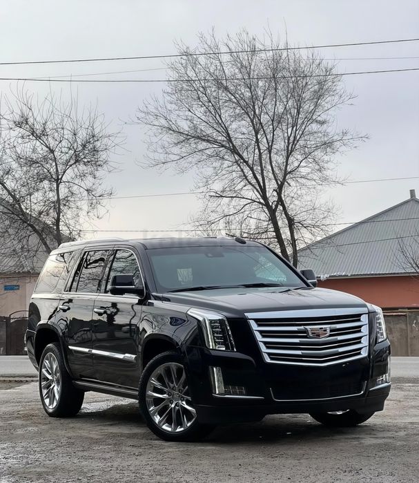 Аренда авто. Кортеж. Гулянка. Выписка из Роддома. Автопрокат.