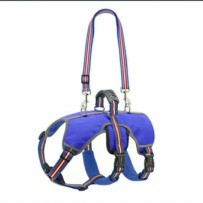 Ham pt câine de talie mare idog