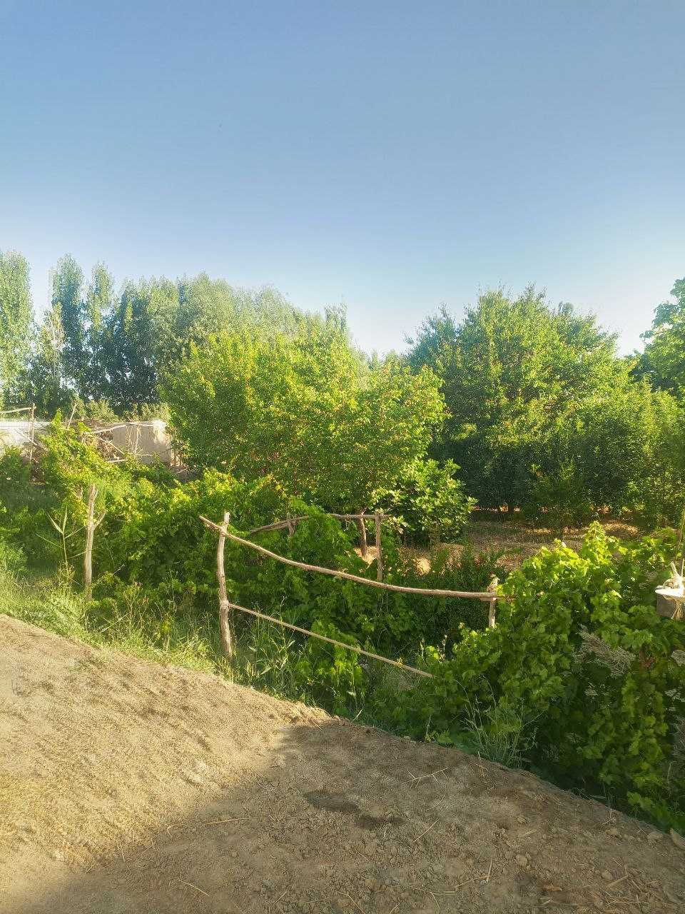 Дом + Земля участок
