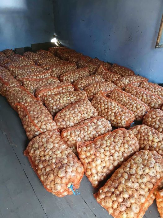 Vând ceapă galbenă.