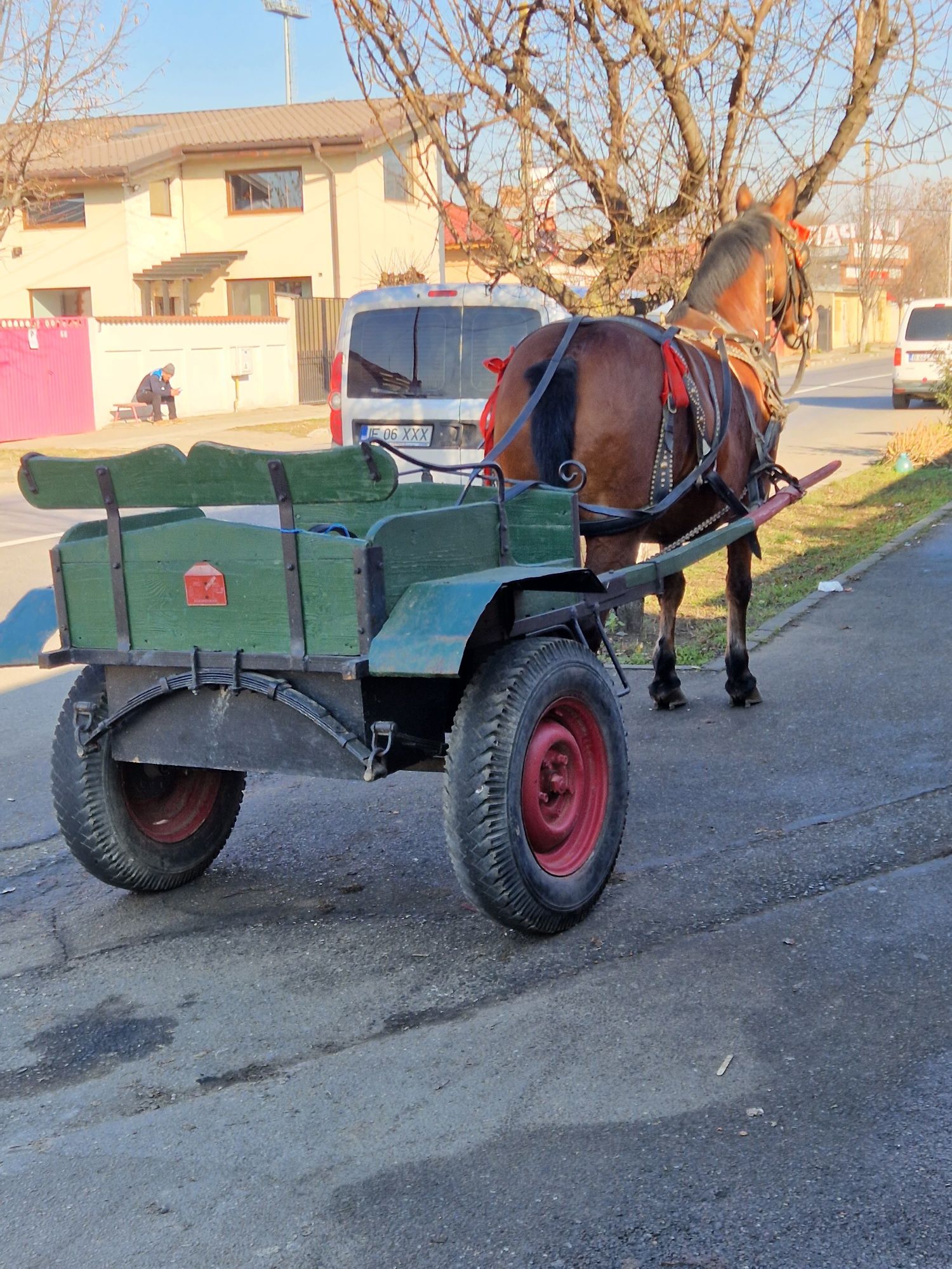 Șareta cal de vânzare sau schimb