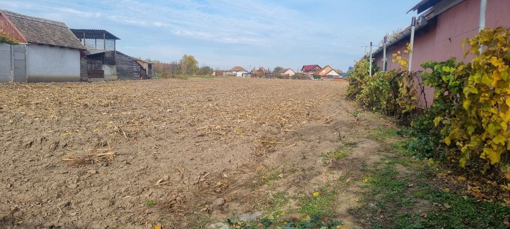 Vand teren intravilan 5493 cu utilitati , Mădăras