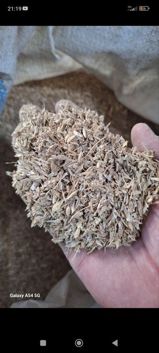 Sechka tozasi bugʻdoy maydalangani mikina sulu bugʻdoyli