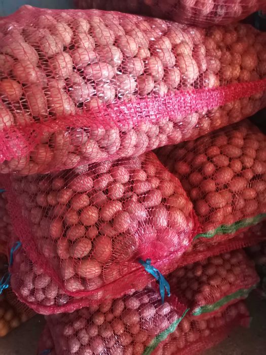 Vând cartofi pentru animale