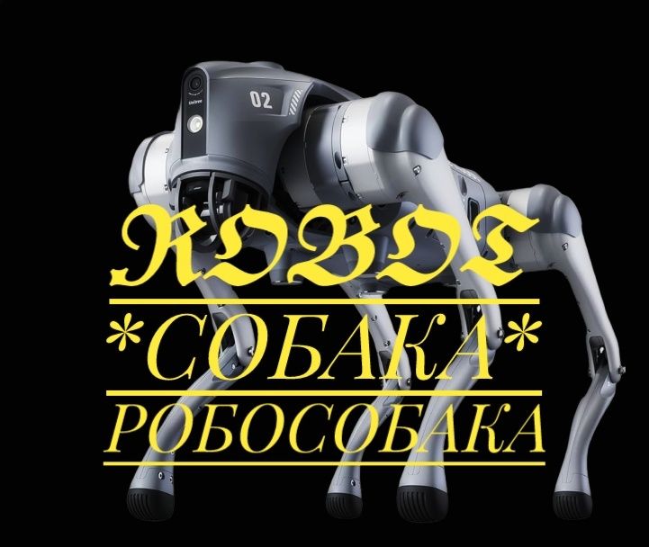 VR очки Пейнтбол Лучный  тир Фейерверк Фаершоу собака робот