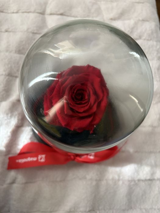 Trandafir criogenat cu cupola
