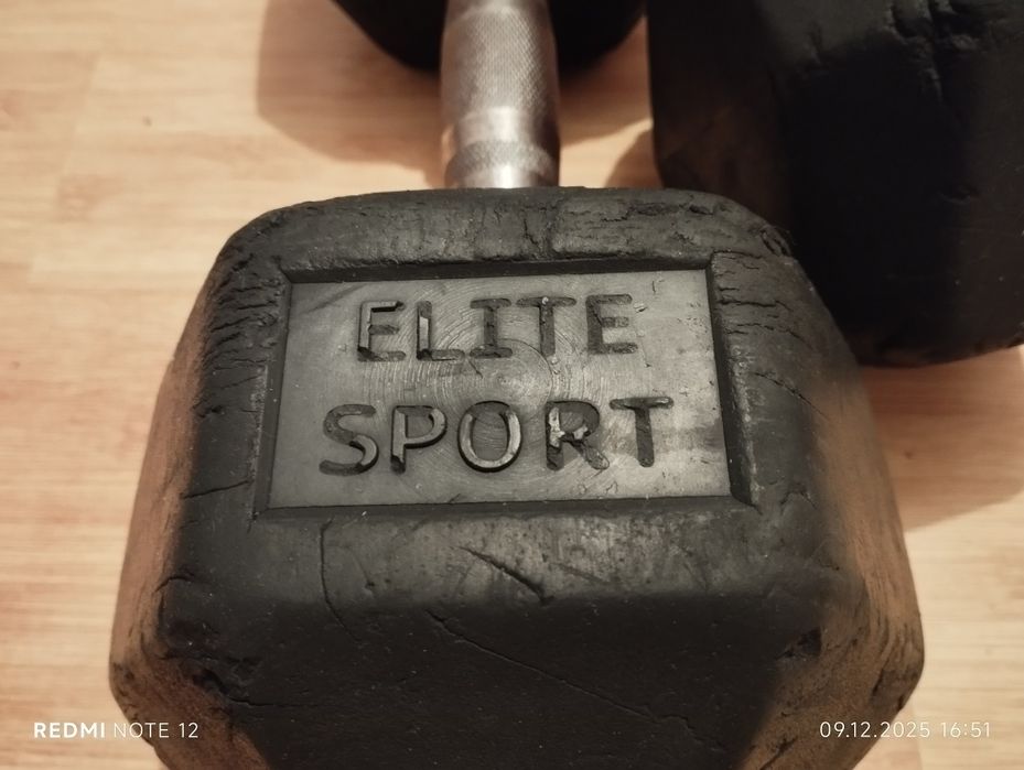 Set două gantere de 22,5 kg