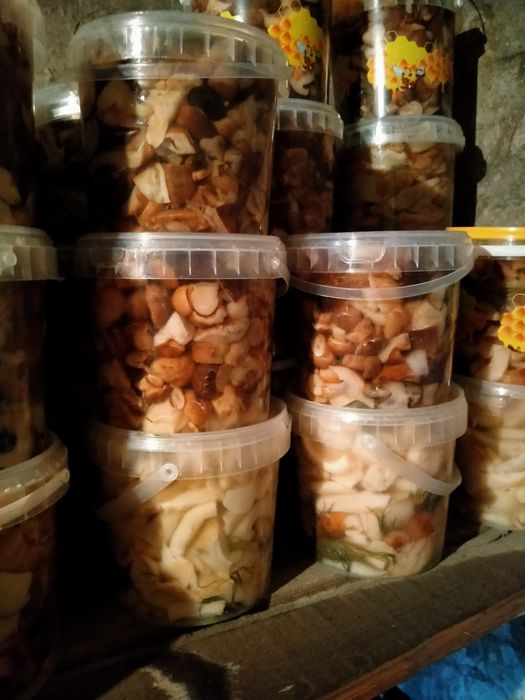 Грибы солёные продам.