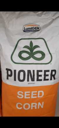 Семена кукурузы Пионер,Декалб,квс,маисадур,будан,маис Украина