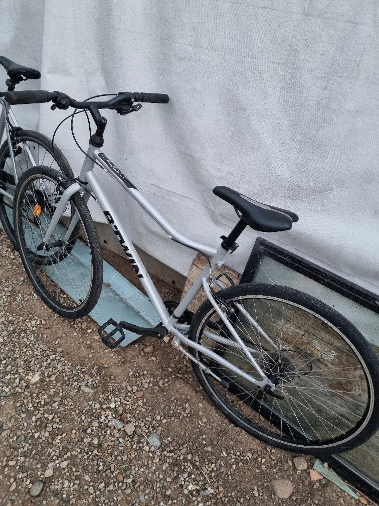 Bicicleta oras riverside 120