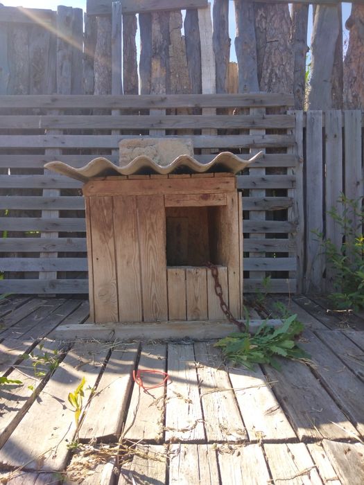 Будки, цепи, чашки, ощейники.