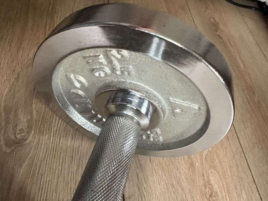 Gantera 10 kg -